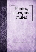 Ponies, asses, and mules
