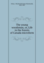 The young woodsman, or, Life in the forests of Canada microform