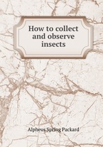 How to collect and observe insects