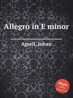 Allegro in E minor
