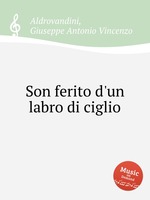 Son ferito d`un labro di ciglio