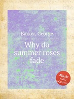 Why do summer roses fade