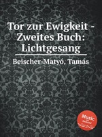 Tor zur Ewigkeit - Zweites Buch: Lichtgesang