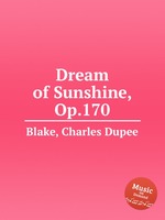 Dream of Sunshine, Op.170