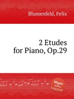 2 Etudes for Piano, Op.29