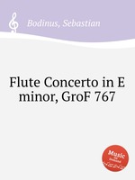 Flute Concerto in E minor, GroF 767