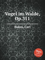 Vogel im Walde, Op.311