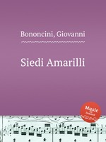 Siedi Amarilli