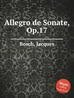 Allegro de Sonate, Op.17