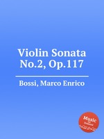 Violin Sonata No.2, Op.117