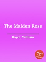 The Maiden Rose