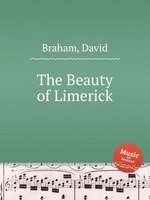 The Beauty of Limerick