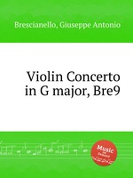 Violin Concerto in G major, Bre9