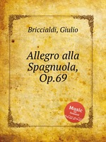 Allegro alla Spagnuola, Op.69