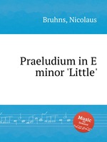 Praeludium in E minor `Little`