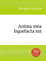 Anima mea liquefacta est