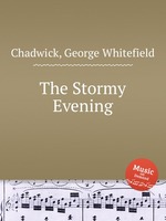 The Stormy Evening