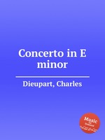 Concerto in E minor