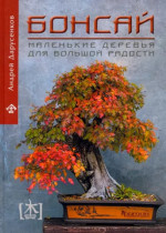Англо-русский словарь: Полный школьный курс