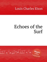 Echoes of the Surf