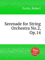Serenade for String Orchestra No.2, Op.14