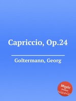 Capriccio, Op.24
