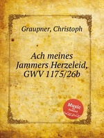 Ach meines Jammers Herzeleid, GWV 1175/26b