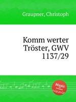 Komm werter Trster, GWV 1137/29