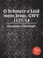 O Schmerz o Leid mein Jesus, GWV 1127/14