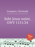 Seht Jesus weint, GWV 1151/24