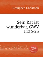 Sein Rat ist wunderbar, GWV 1136/23