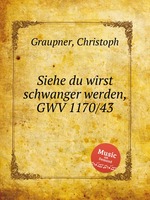 Siehe du wirst schwanger werden, GWV 1170/43