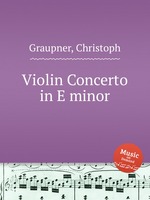 Violin Concerto in E minor