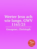 Werter Jesu ach wie lange, GWV 1165/25