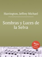 Sombras y Luces de la Selva