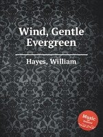 Wind, Gentle Evergreen