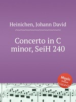 Concerto in C minor, SeiH 240