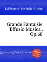 Grande Fantaisie `Effusio Musica`, Op.68