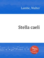 Stella caeli