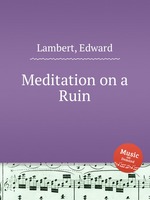 Meditation on a Ruin