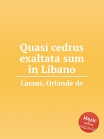 Quasi cedrus exaltata sum in Libano