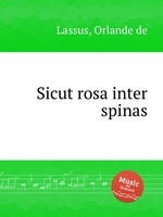 Sicut rosa inter spinas