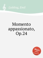 Momento appassionato, Op.24