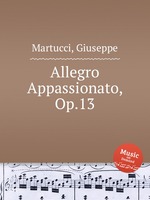 Allegro Appassionato, Op.13