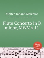 Flute Concerto in B minor, MWV 6.11