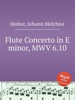 Flute Concerto in E minor, MWV 6.10