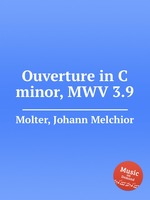 Ouverture in C minor, MWV 3.9