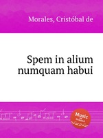 Spem in alium numquam habui