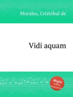 Vidi aquam