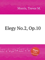 Elegy No.2, Op.10